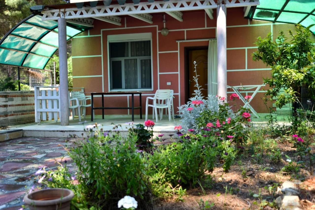 Villas Apartments Shahaj Vlore Exterior photo